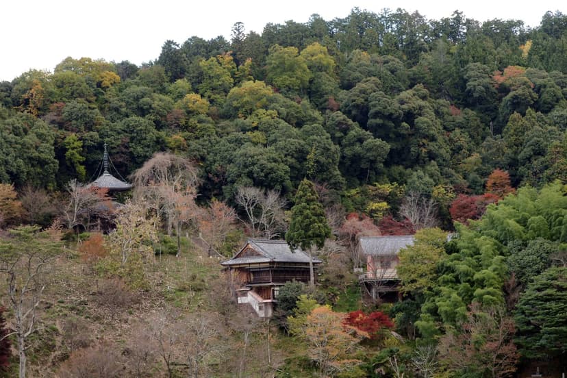 南朝ゆかりの古刹めぐり、吉野の歴史をたどる日帰り旅