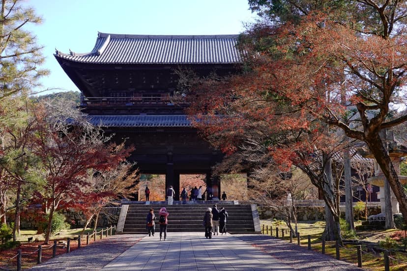 もみじの永観堂から哲学の道へ。東山の紅葉名所さんぽ