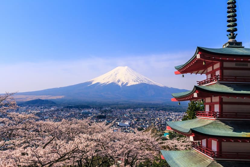 もみじ回廊と富士山。河口湖の紅葉と絶景をめぐる日帰り旅