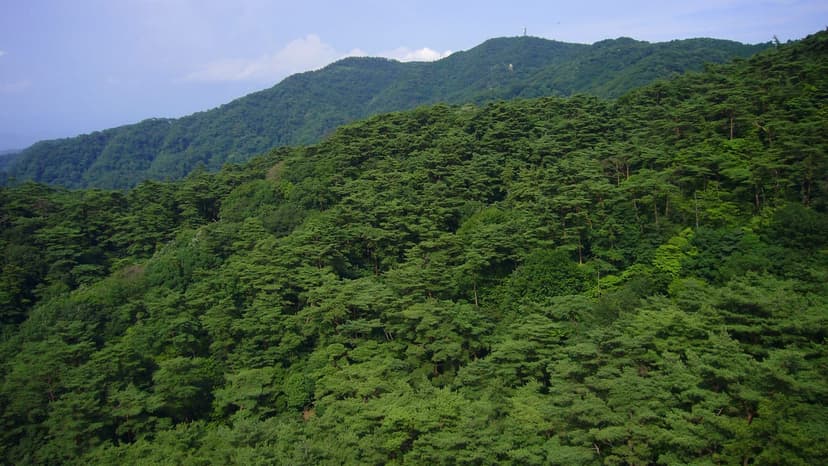 六甲山の夜景と有馬温泉、神戸の絶景と湯めぐり1泊2日
