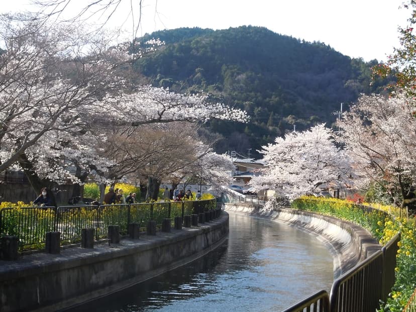 琵琶湖疏水とびわ湖大津館、湖畔の絶景さんぽ日帰りプラン
