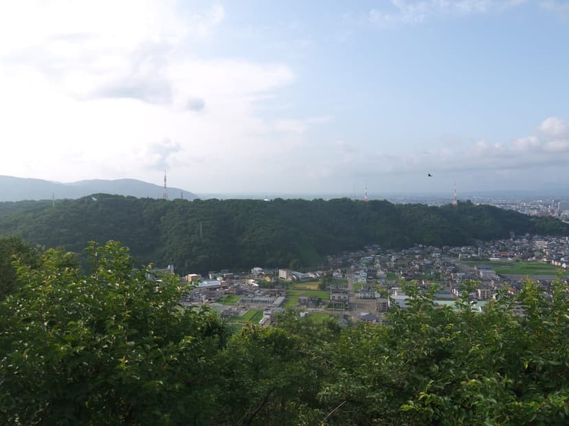 足羽山公園と足羽川桜並木、福井市民の憩いの自然を楽しむプラン
