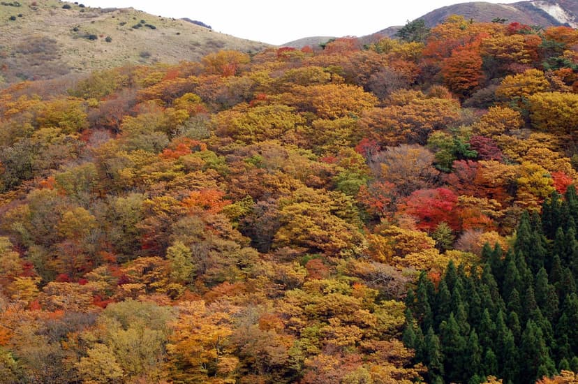 瀬の本高原、くじゅう連山を望む絶景ドライブプラン