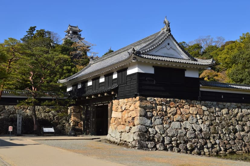 高知城とひろめ市場、現存天守とご当地グルメの定番日帰りプラン