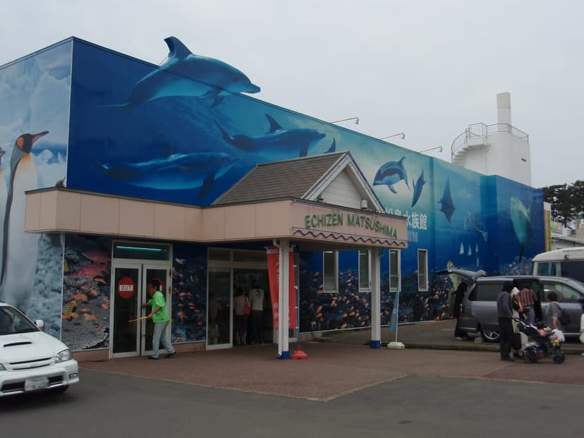 越前松島水族館、東尋坊近くの海の生き物と出会うプラン