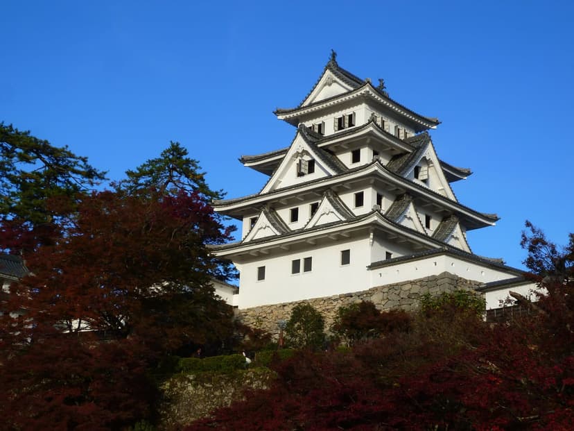 郡上八幡城と宗祇水、水と踊りの城下町をめぐる日帰りプラン